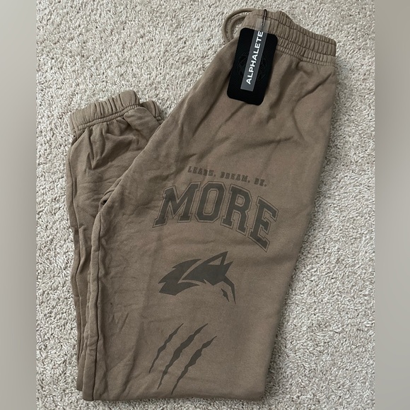 Alphalete Other - NWT Alphalete Earth Dye Graphic Jogger Mudstone